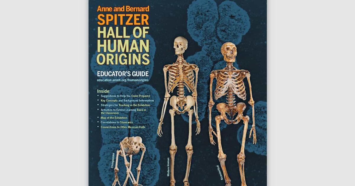 Educator Resources Hall Of Human Origins Amnh - 