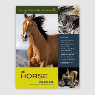 Cover of Educator's Guide titled "The Horse" featuring images of a horse, a sculpture of a horse and rider on wheels, and a cave painting of horses.