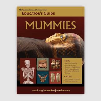 Cover of an Educator's Guide titled "Mummies" featuring images of a painted sarcophagus, skeleton, and canopic jars.