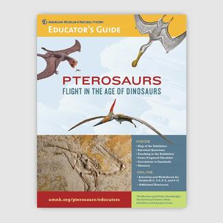 Cover of Educator's Guide titled "Pterosaurs: Flight in the Age of Dinosaurs" with three images of pterosaurs and one image of a pterosaur fossil.