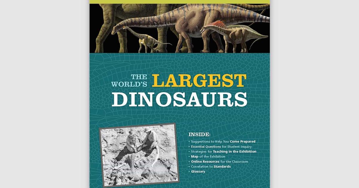 Educator Resources World S Largest Dinosaurs Exhibit Amnh Educator Resources World S Largest Dinosaurs Exhibit Amnh