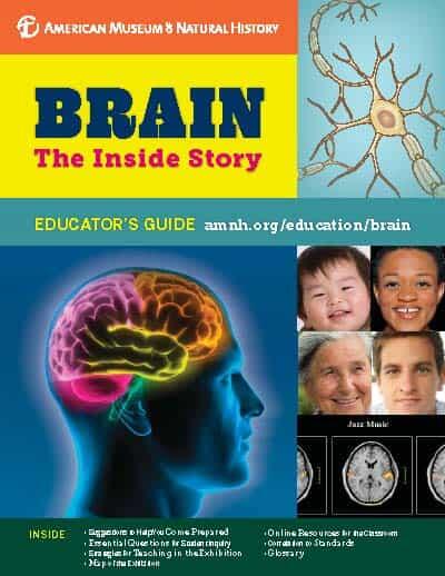 Cover of Educator's Guide titled "Brain: The Inside Story" with drawing of axon structure, aging faces, and PET and CT scans.