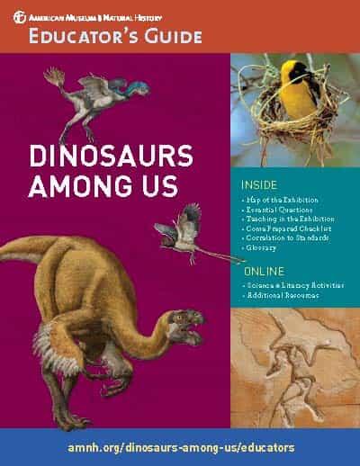 Cover of Educator's Guide titled "Dinosaurs Among Us, with pictures of feathered and winged dinosaurs, a modern bird, and fossil Archeopteryx.