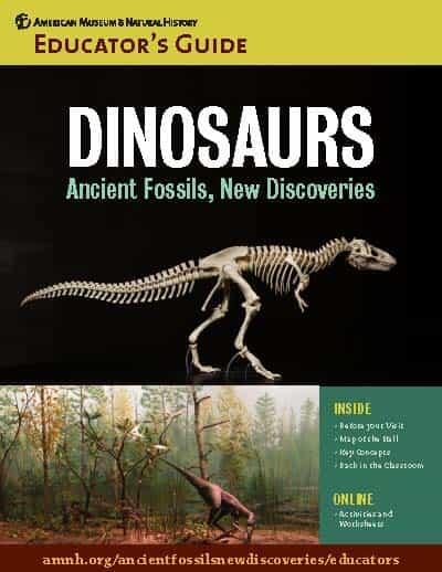 Cover of Educator's Guide titled "Dinosaurs: Ancient Fossils, New Discoveries" featuring a dinosaur skeleton and a dinosaur shown in habitat.