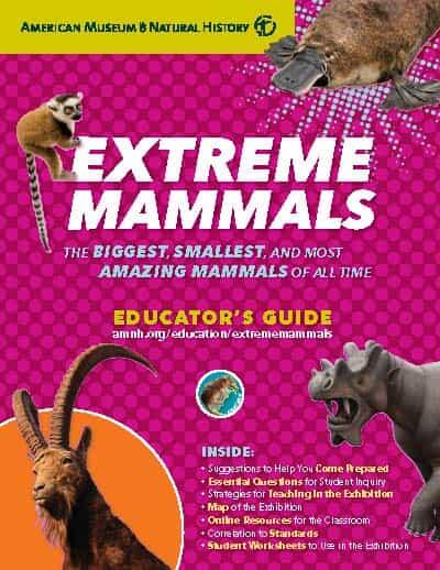 Cover of Educator's Guide titled "Extreme Mammals: The Biggest, Smallest, and Most Amazing Mammals of All Time" featuring images of four mammals.