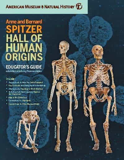 Cover of Educator's Guide titled "Anne and Bernard Spitzer Hall of Human Origins" featuring three skeletons (a chimp, human, and neanderthal).
