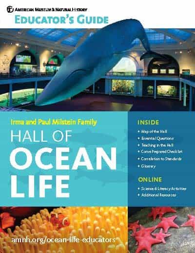 Cover of Educator's Guide titled "Irma and Paul Milstein Family Hall of Ocean Life" featuring image of Milstein Hall and blue whale model.