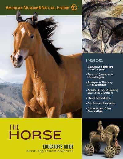 Cover of Educator's Guide titled "The Horse" featuring images of a horse, a sculpture of a horse and rider on wheels, and a cave painting of horses.