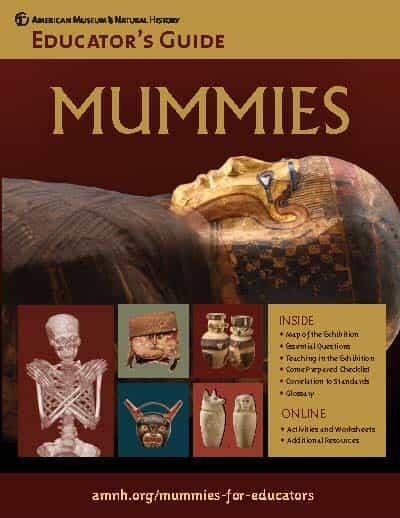 Cover of an Educator's Guide titled "Mummies" featuring images of a painted sarcophagus, skeleton, and canopic jars.