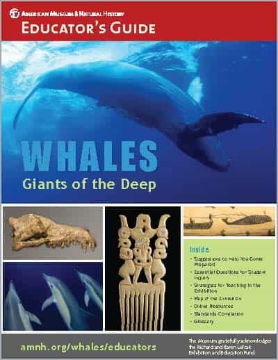 Cover of Educator's Guide titled "Whales: Giants of the Deep" featuring images of live whales, a skull, and stylized representations in art.