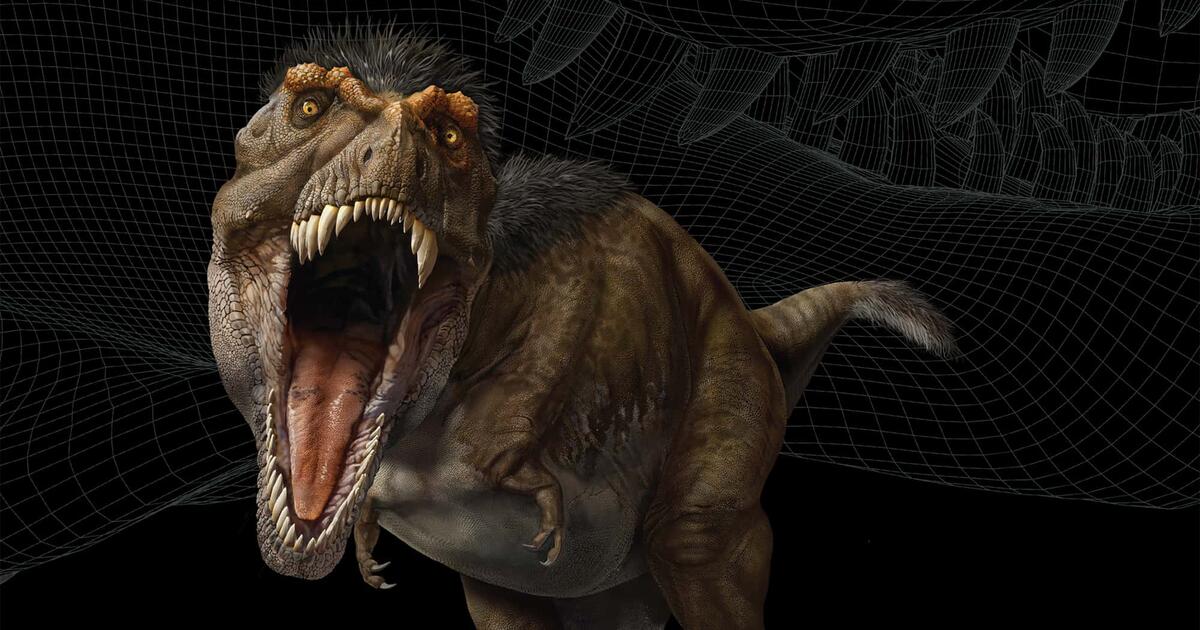 t rex crocs
