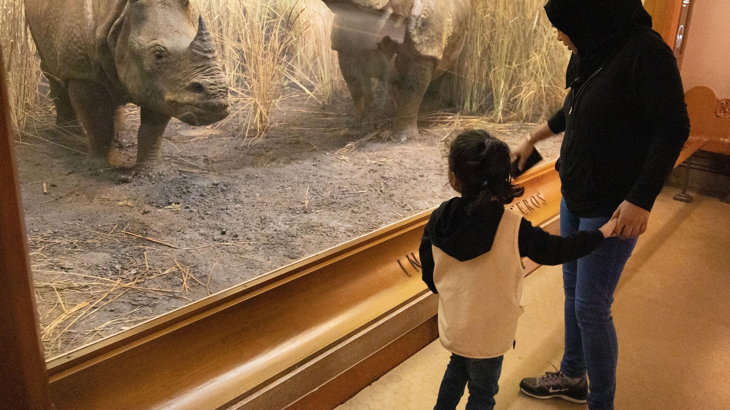 A woman and kid looking at the Rhinoceros exhibit at American Museum of Natural History