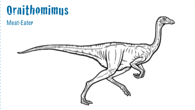 A black and white drawing of a theropod with the text, “Ornithomimus, Meat-Eater.”