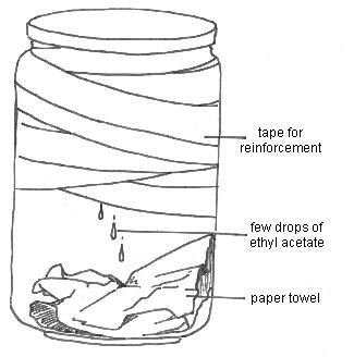 How to Make a Killing Jar