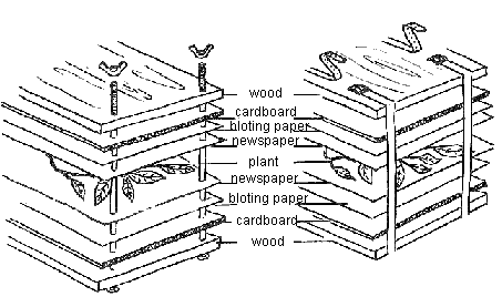 An illustration of a flower press with text and lines pointing to the device's various components.