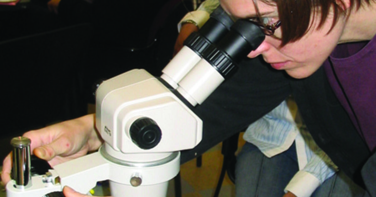 Internships For High School College And Graduate Students Amnh