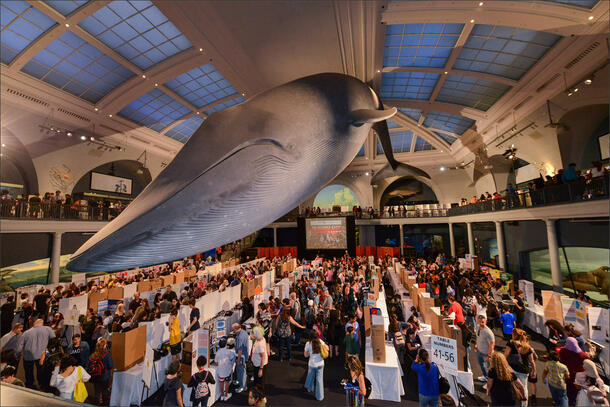 Urban Advantage expo 2019 in the Milsteiin HAll of Ocean Life.