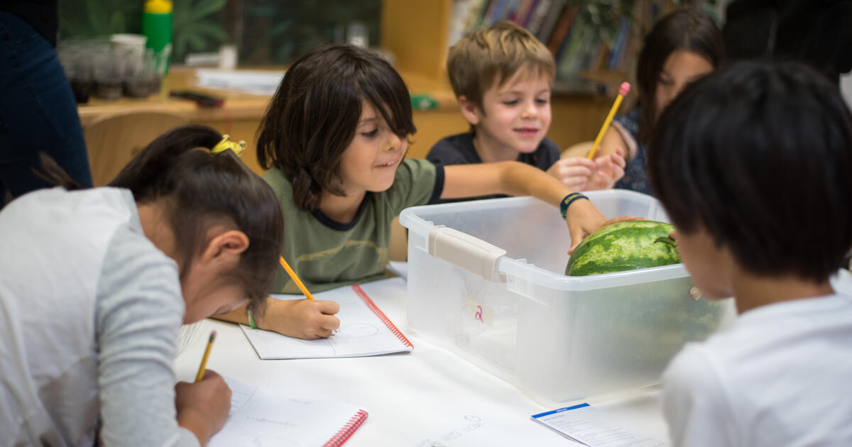 Science Camps For Kids Summer And School Breaks Amnh