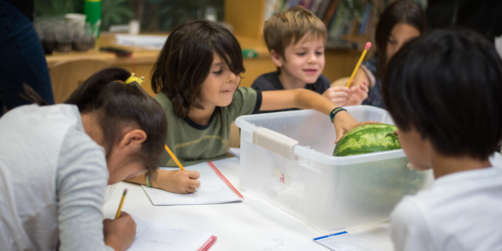 Science Camps For Kids Summer And School Breaks Amnh
