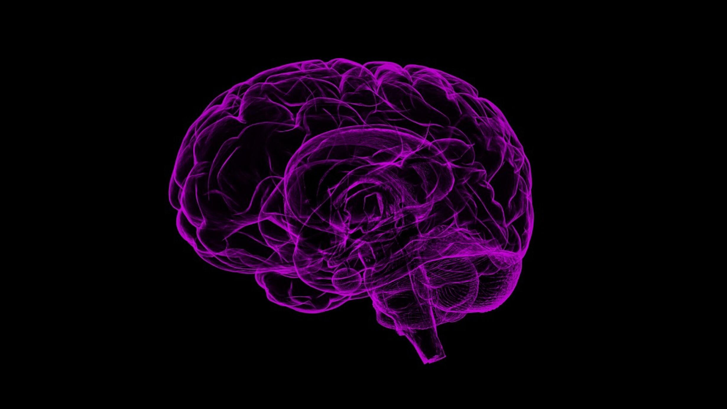 Purple brain outline