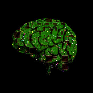 Brain with green circuits