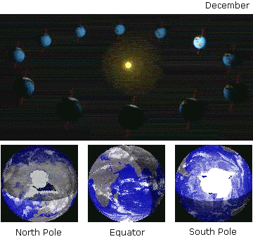 Seasonal Cycle