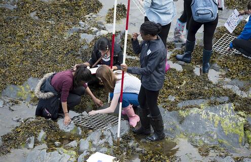 Teenage students gathering samples in a wetland environment