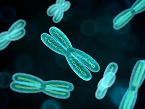 computer generated image of human chromosomes, with DNA molecules inside