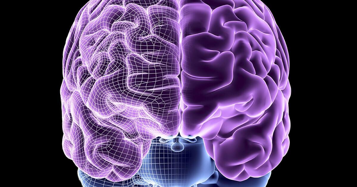 The Brain: Course for Science Educators Seminars on Science The Brain: Course for Science Educators Seminars on Science