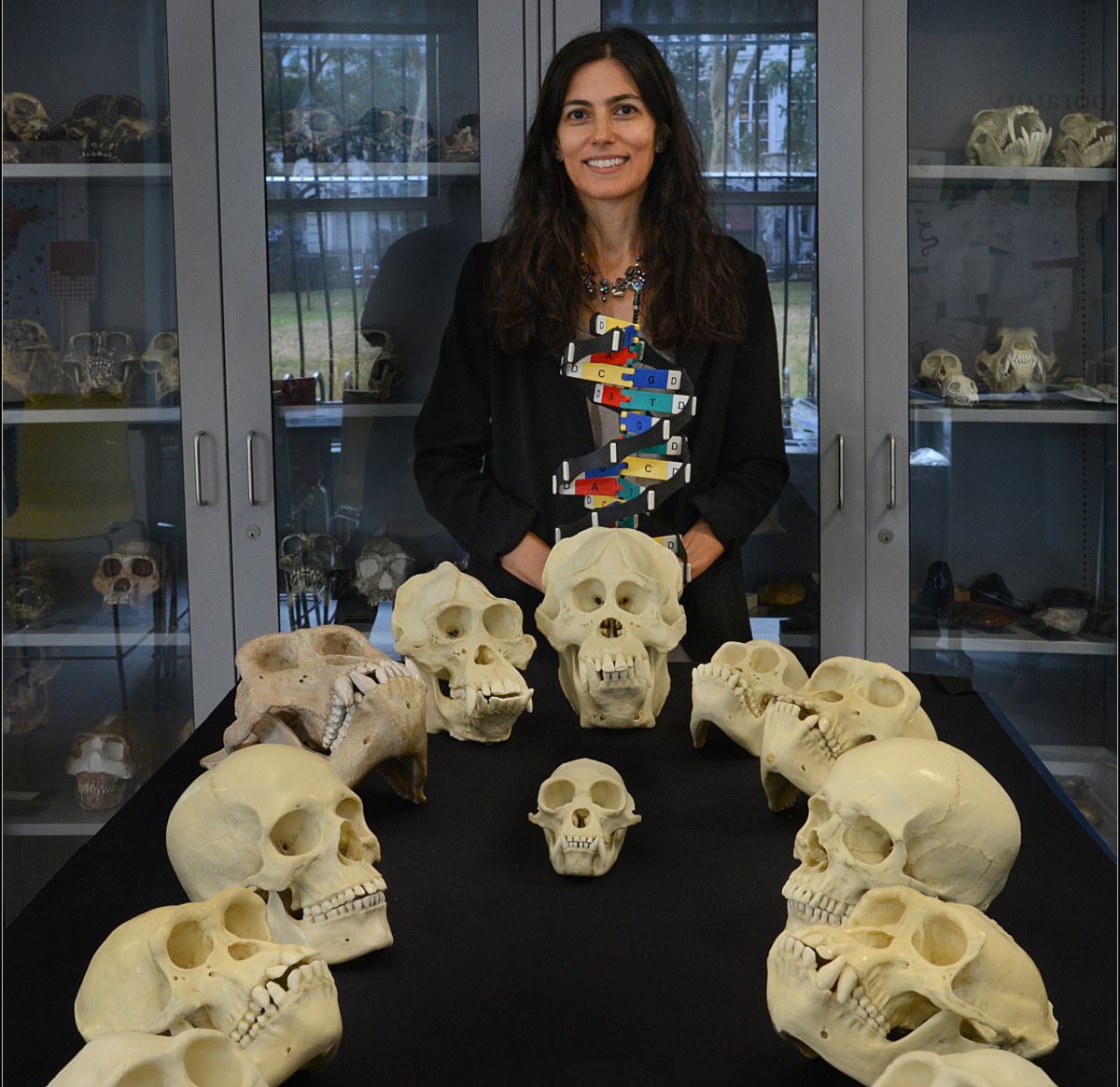 Julia Zichello standing behind a table on which primate skulls are displayed