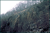 A hillside of vertical striated rock covered with sparse vegetation, with thin trees at the hilltop.