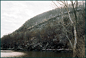 A grass- and tree-covered hill running down to the Hudson River.