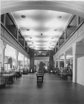 A Museum hall with glass-encased specimen displays.