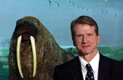 A man, Stephen C. Quinn, smiling at the camera, with the walrus diorama behind him.