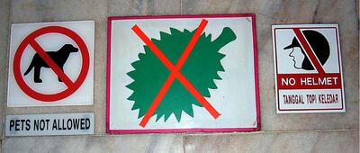 Three graphic signs prohibiting pets, what looks to be a green leaf, and the wearing of helmets.