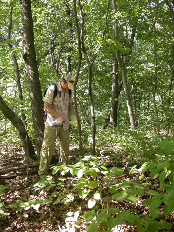 Dr. Noah Fierer, wearing a baseball cap and backpack, stands in a wooded area in Central Park searching for microbes in the soil.