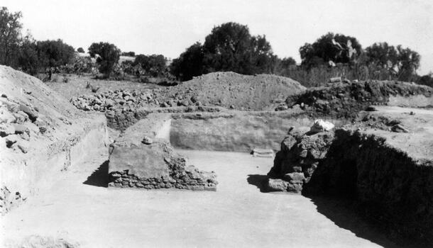 An excavation site with mounds of soil removed to reveal several sections of low walls. In the background are scrubby trees. The photo caption states: "North House rooms."