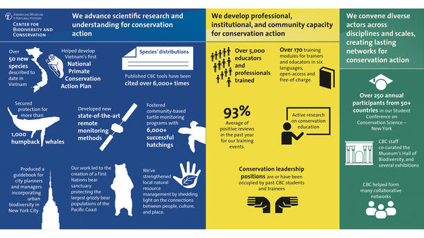 Graphic of CBC's impact