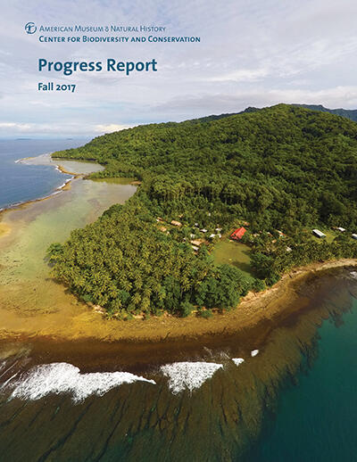 A wide shot of a low hill with lush tree cover and several small square buildings near a flat sandy beach and calm water.