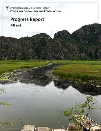 A marshy creek winding through low lush grass, with a dock and small row boats in the foreground and craggy hills in the background.