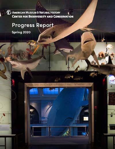 Cover page from the CBC Spring 2020 Progress Report