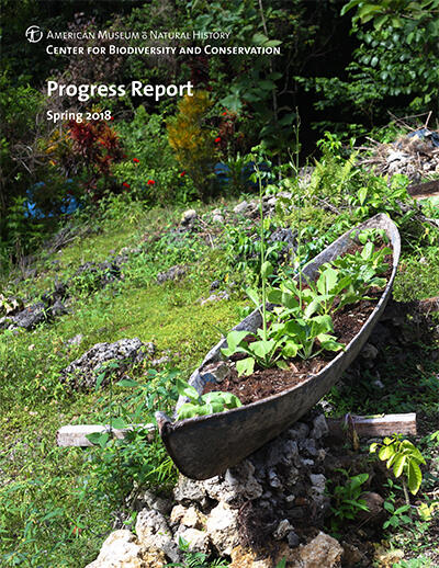 A grassy cultivated area with rocks and flowering plants and a canoe containing soil and plants.