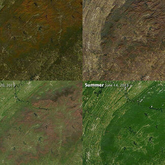 Comparison of four remote sensing images of a landscape taken in different seasons