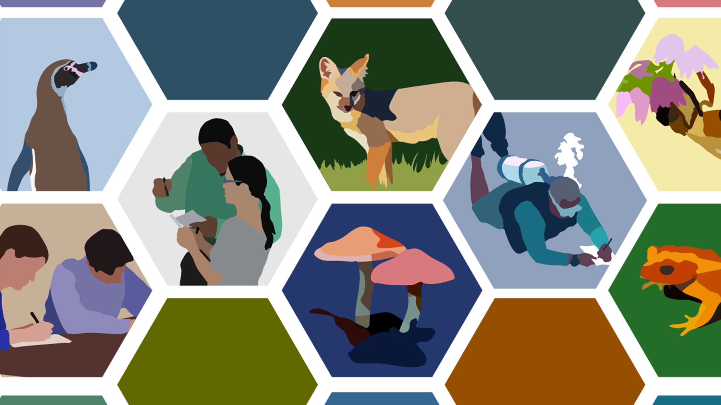 A collage of hexagon-shaped graphics, some filled with solid color and others filled with image of science and nature.