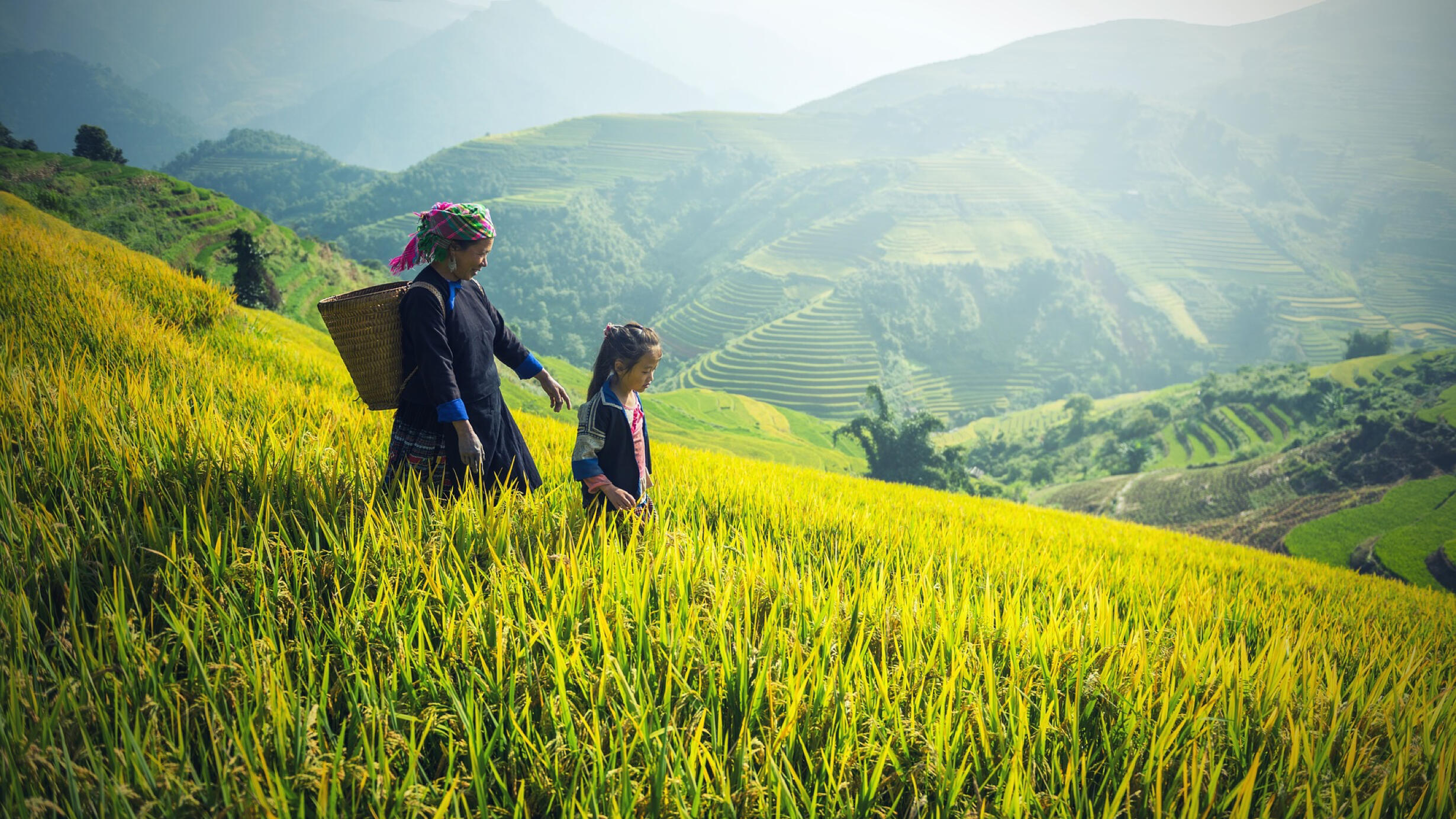 An adult wearing a head scarf with a basket on their back walks with a child through tall grass with verdant mountains in the background.