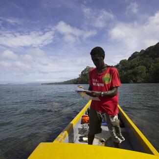 An adult looks at a clipboard while standing inside a small, colorful boat on the water with a lush coast in the background.