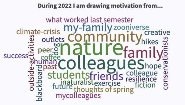Word cloud generated by responses from webinar participants, the most common words are nature, family, and colleagues 