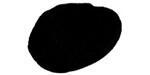 A black shape representing a bivalve shell of a subovate shape, against a white background.