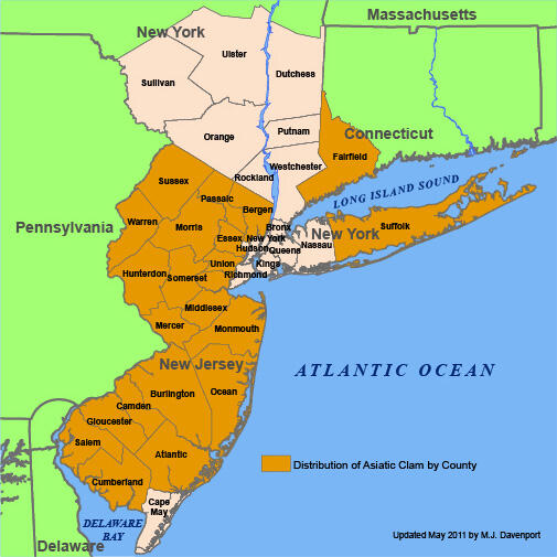 A map of the counties in the Pennsylvania, New York, and New Jersey areas with orange colors indicating Asiatic clam distribution.