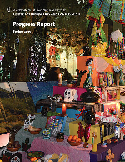 Cover of the Center for Biodiversity and Conservation Progress Report Spring 2019 with title text over an image of a Dia de los Muertos altar.